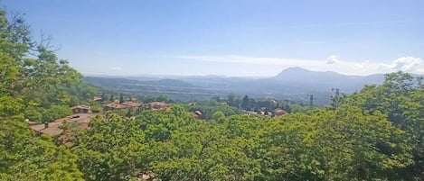 A landscape with a road, greenery, and distant mountains.