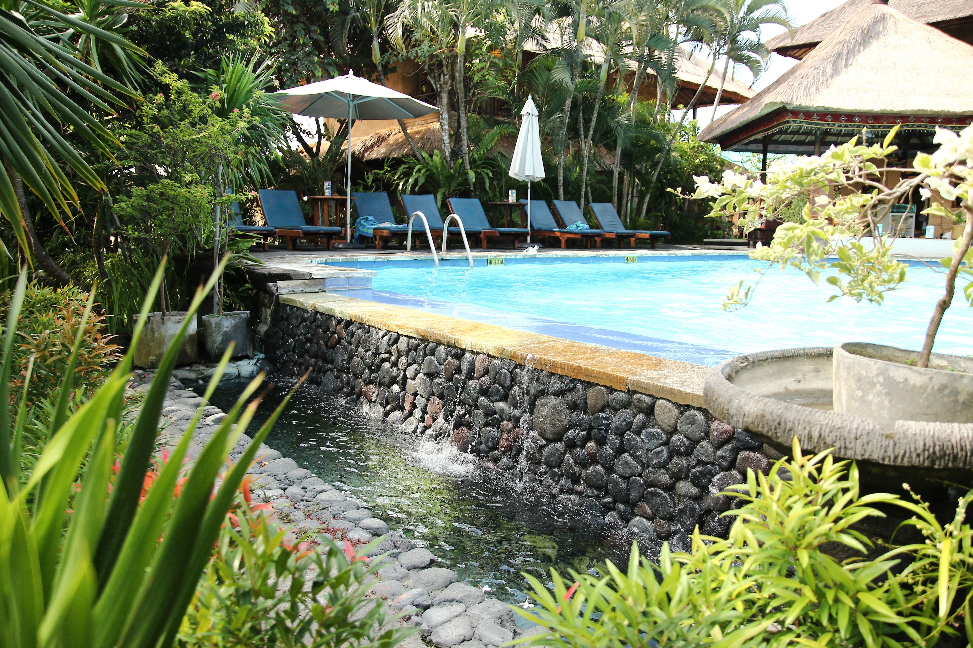 outdoor pool, pool umbrellas, pool loungers