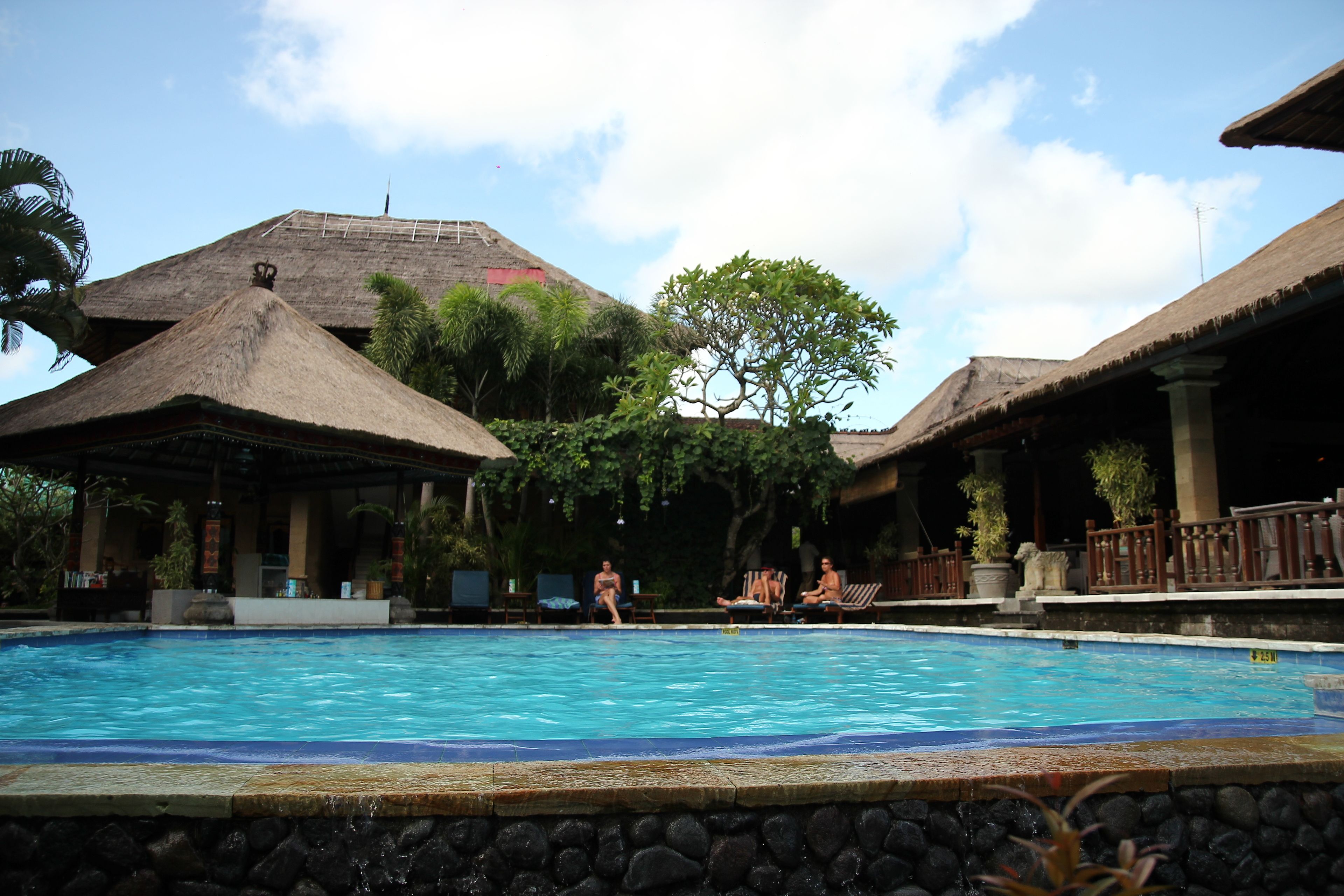 A swimming pool with thatched-roof structures and stone walls.