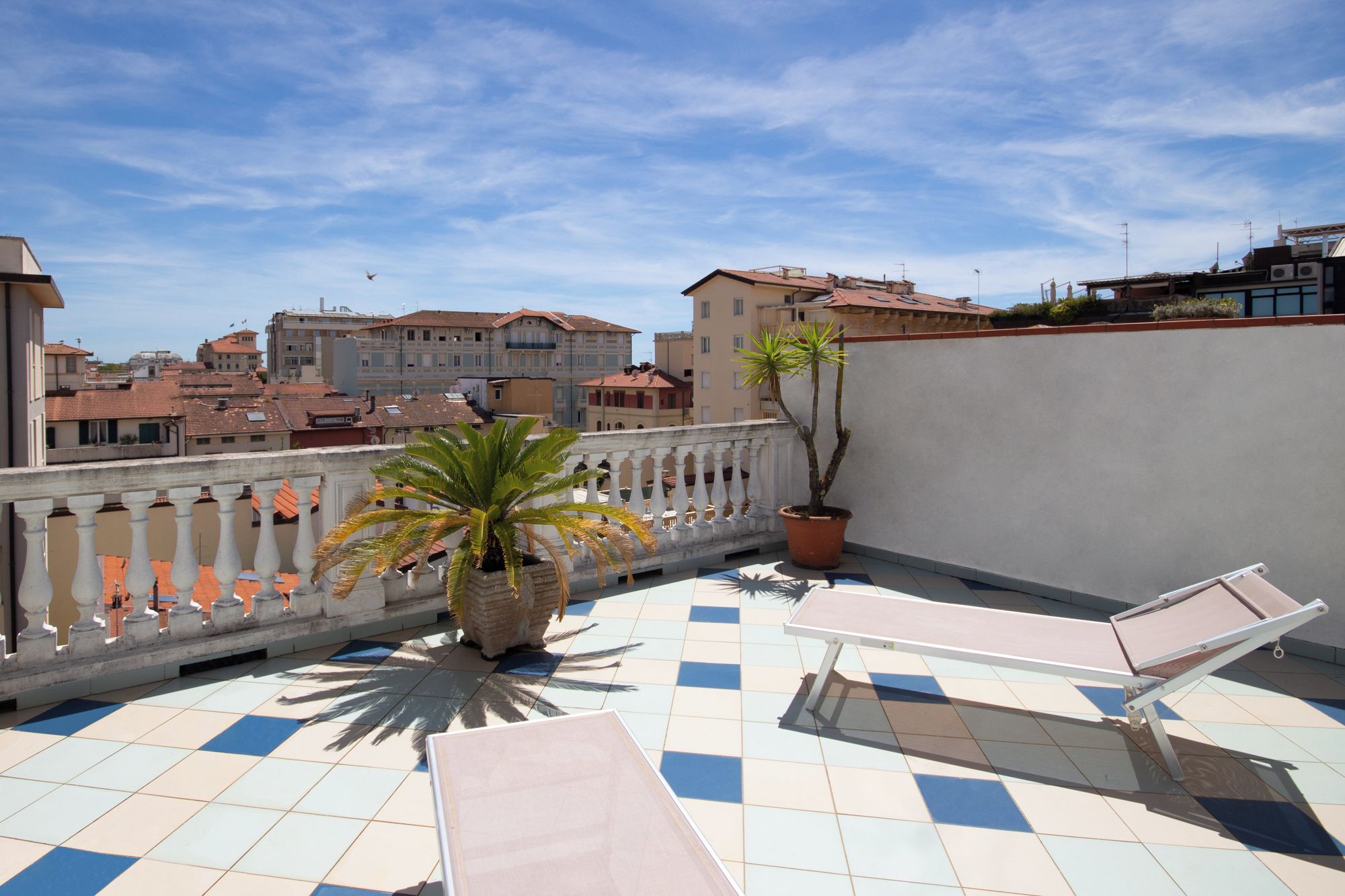 Una terraza en la azotea con una palmera, una planta en maceta y una tumbona.