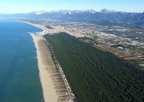 Point of interest - Hotel Massimo (Viareggio)