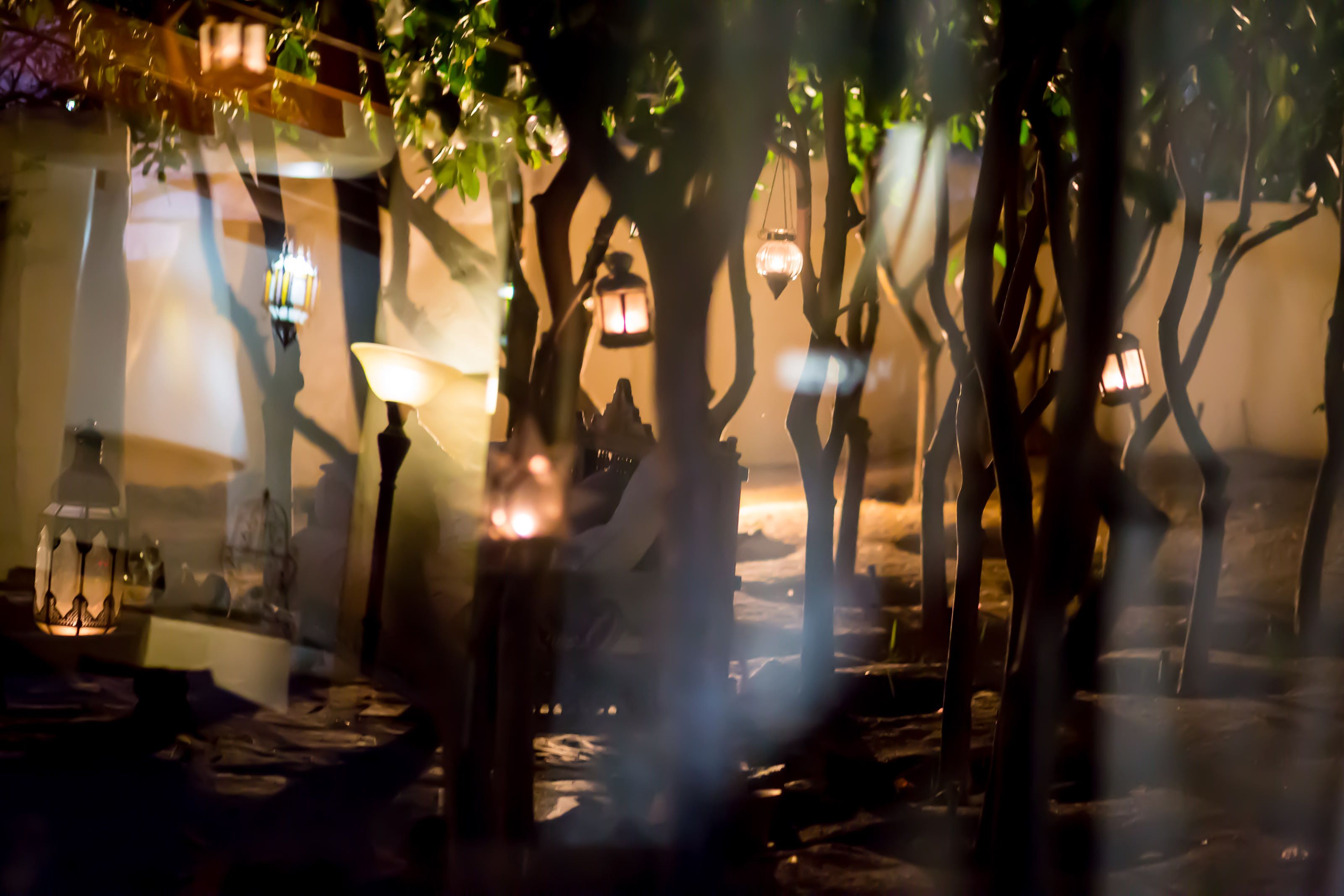 A dimly lit outdoor area with trees and hanging lanterns, suggesting a serene evening setting.