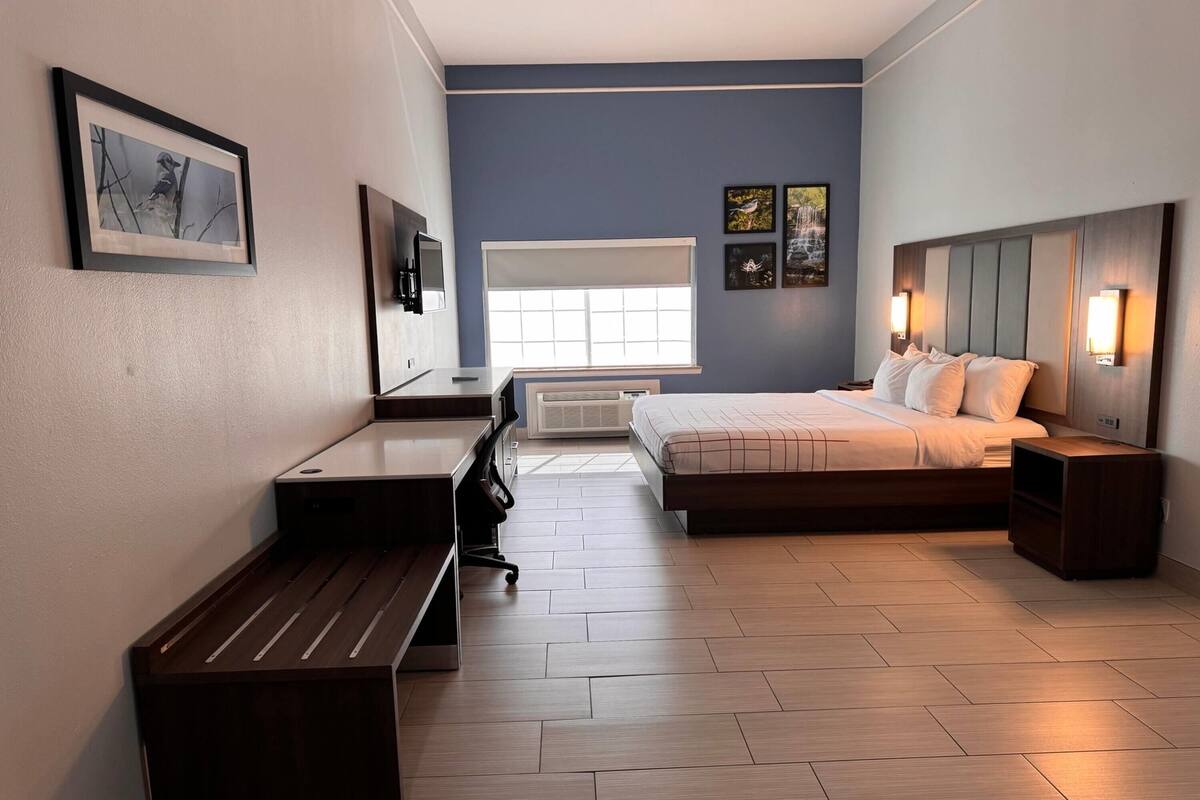 A modern bedroom with a bed, desk, and bench.