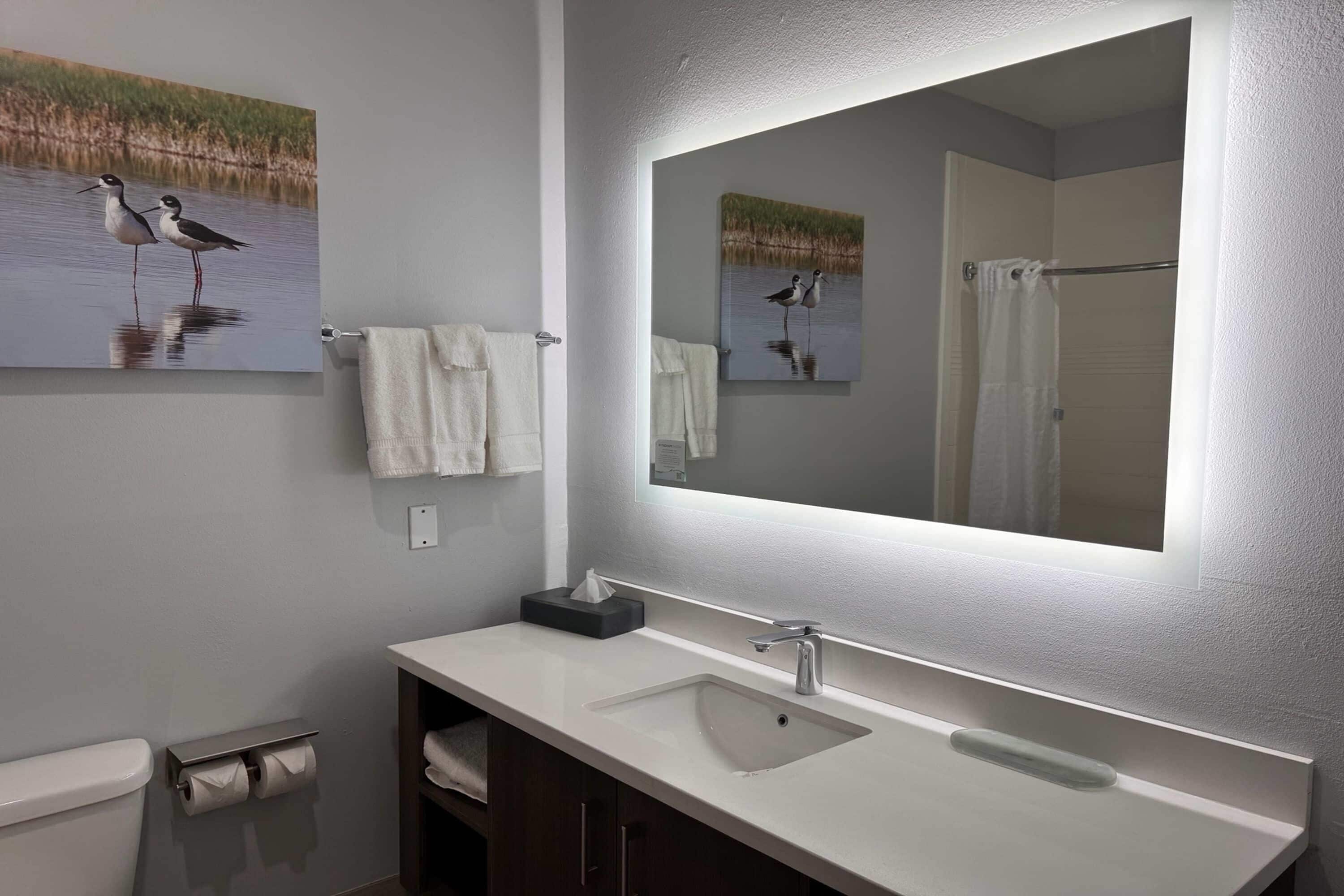 A bathroom with a white sink, a large mirror, and two wall-mounted paintings of birds.