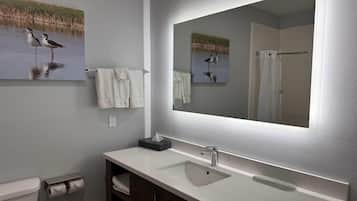 A bathroom with a white sink, a large mirror, and two wall-mounted paintings of birds.
