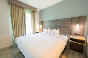 Studiosuite, 1 King-Bett, Nichtraucher