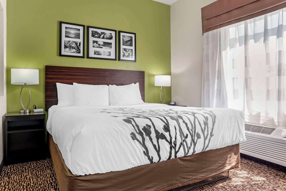 A hotel room with a large bed, two bedside tables, a nightstand, a wall-mounted lamp, and a window with sheer curtains.