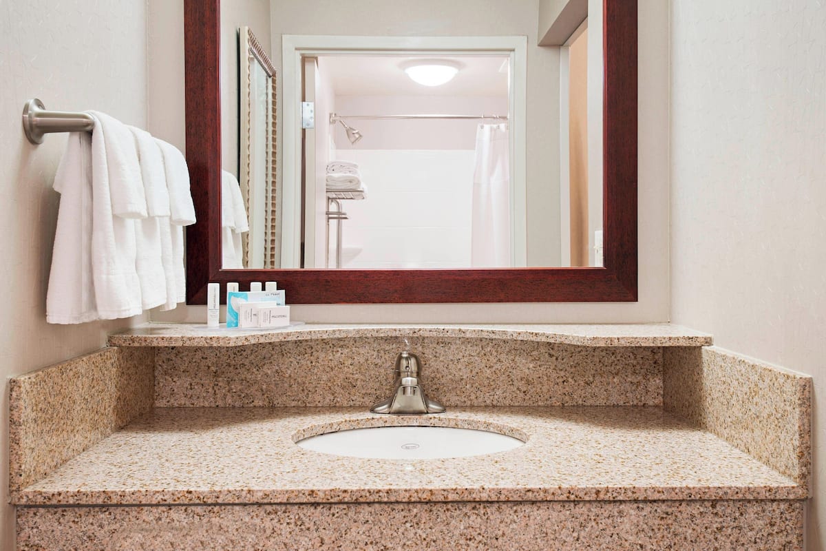 combined shower/bathtub, free toiletries, hair dryer, towels