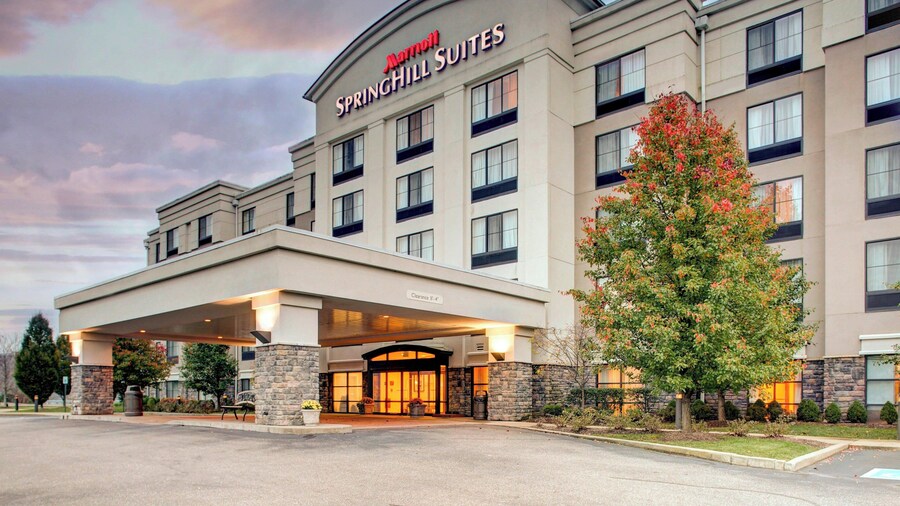 SpringHill Suites by Marriott Wheeling Tridelphia Area