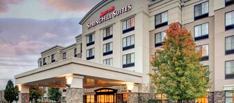 惠靈特里德菲亞區萬豪春季山丘套房酒店