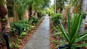 Hallway - Central Plaza Apartments (Cairns North)