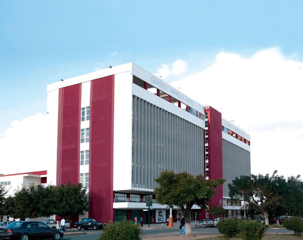 Ulkopuoli