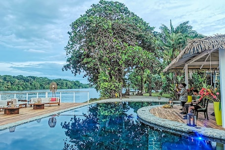 Una piscina al aire libre, sombrillas, sillones reclinables de piscina