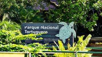 Rutas ecológicas