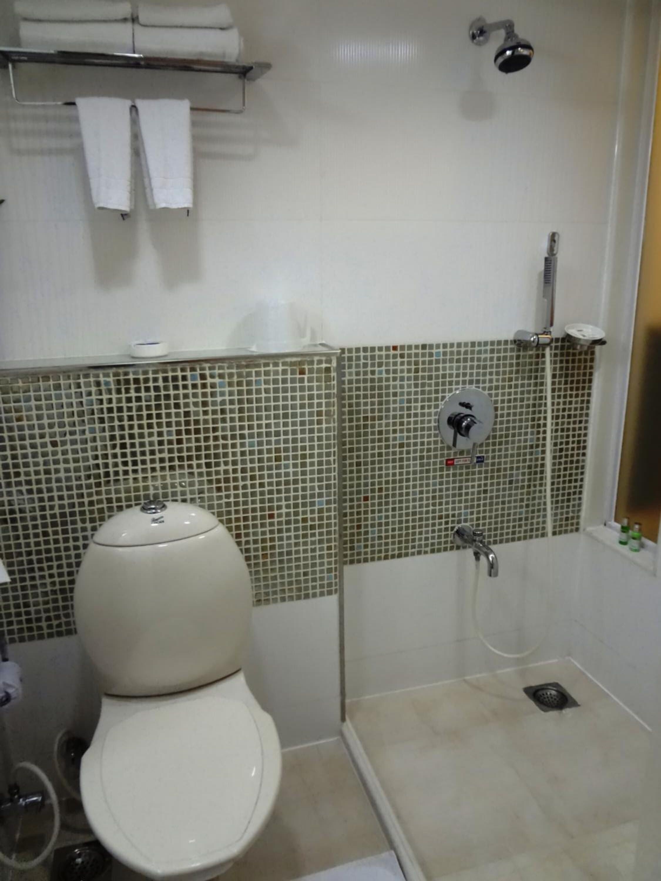 A bathroom with a toilet, a shower, and a tiled wall.