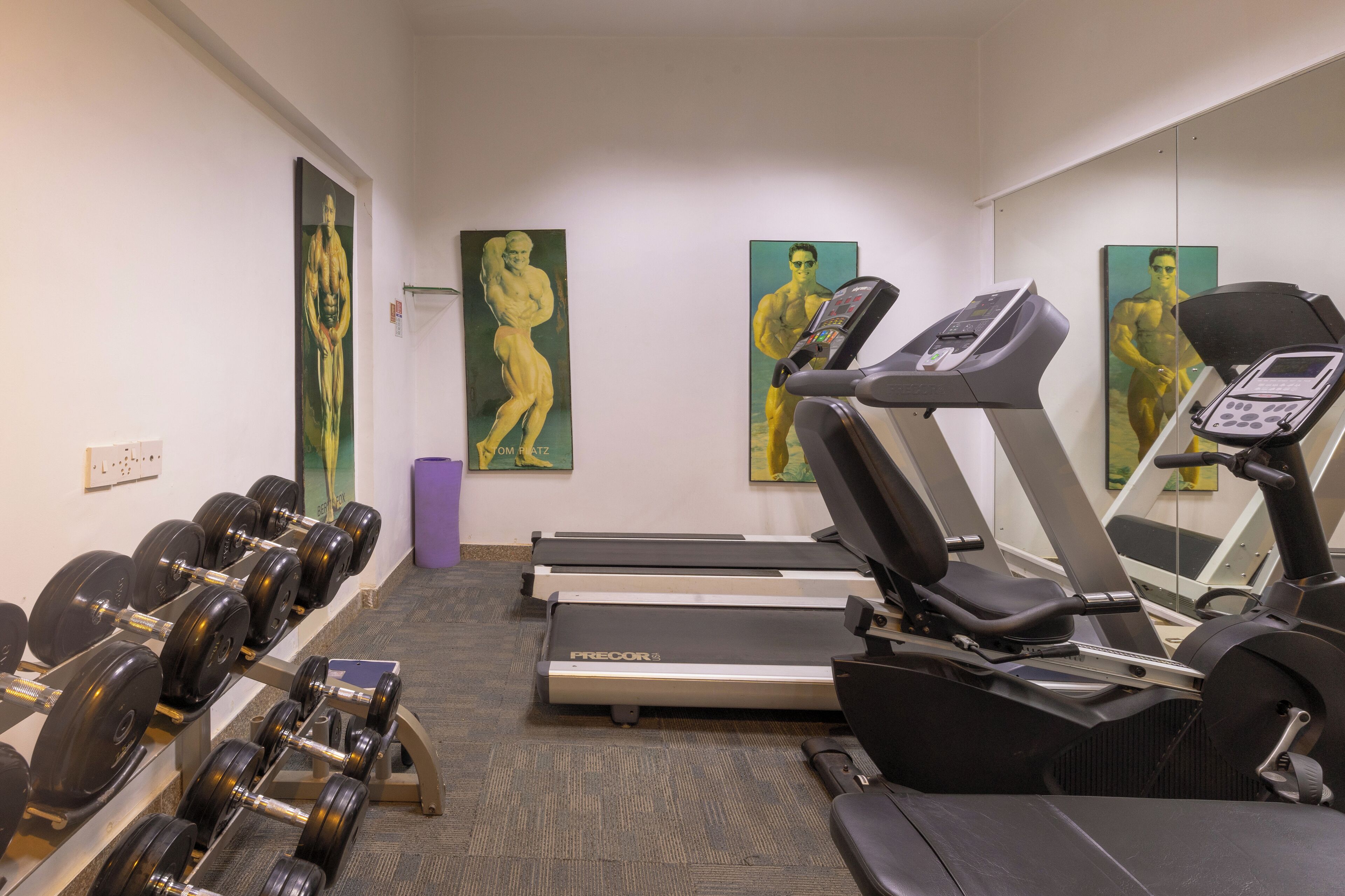 A gym with treadmills, stationary bikes, and dumbbells.