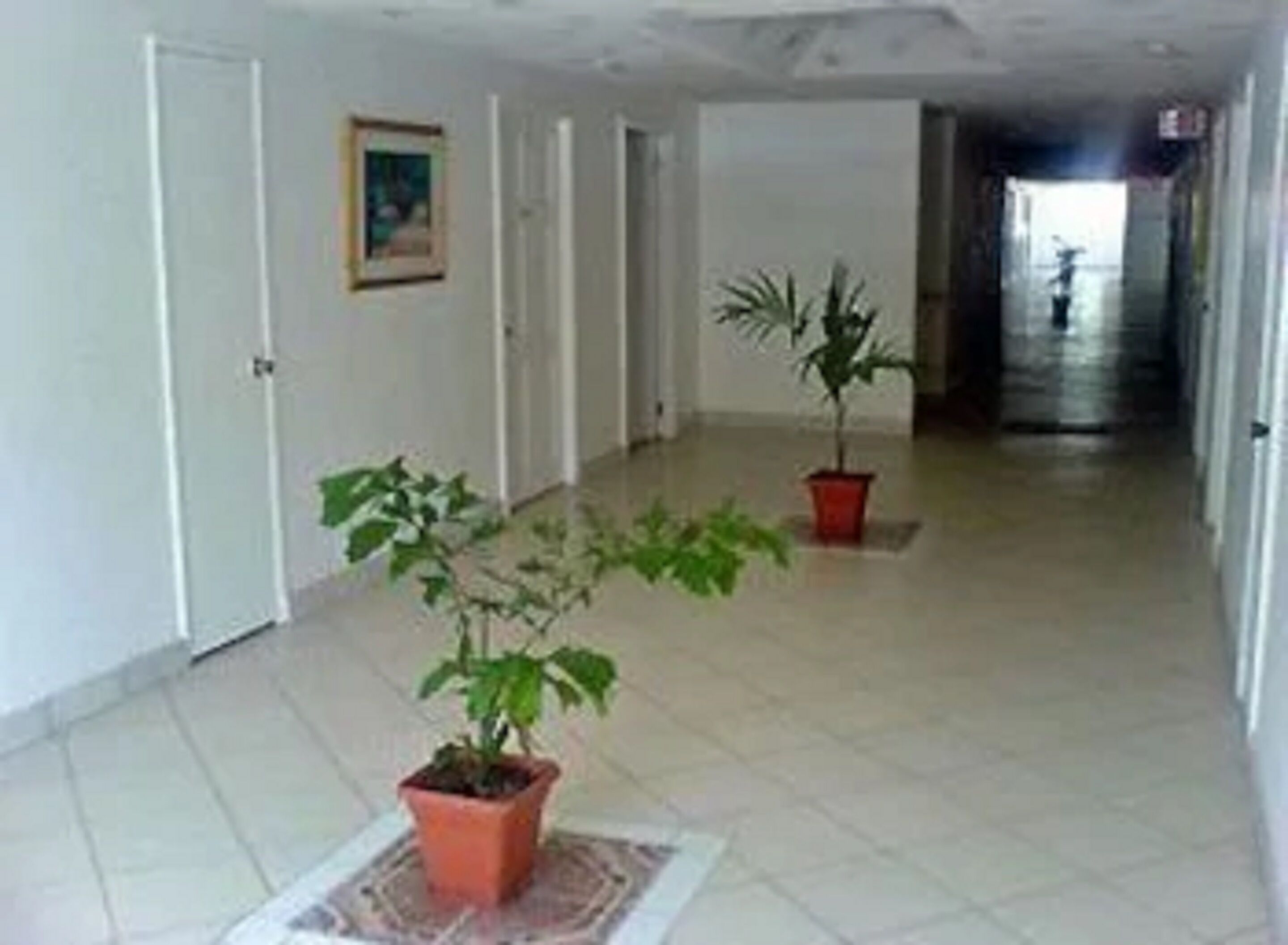 Un passadís amb dues plantes en testos, parets blanques i un sòl de rajola.