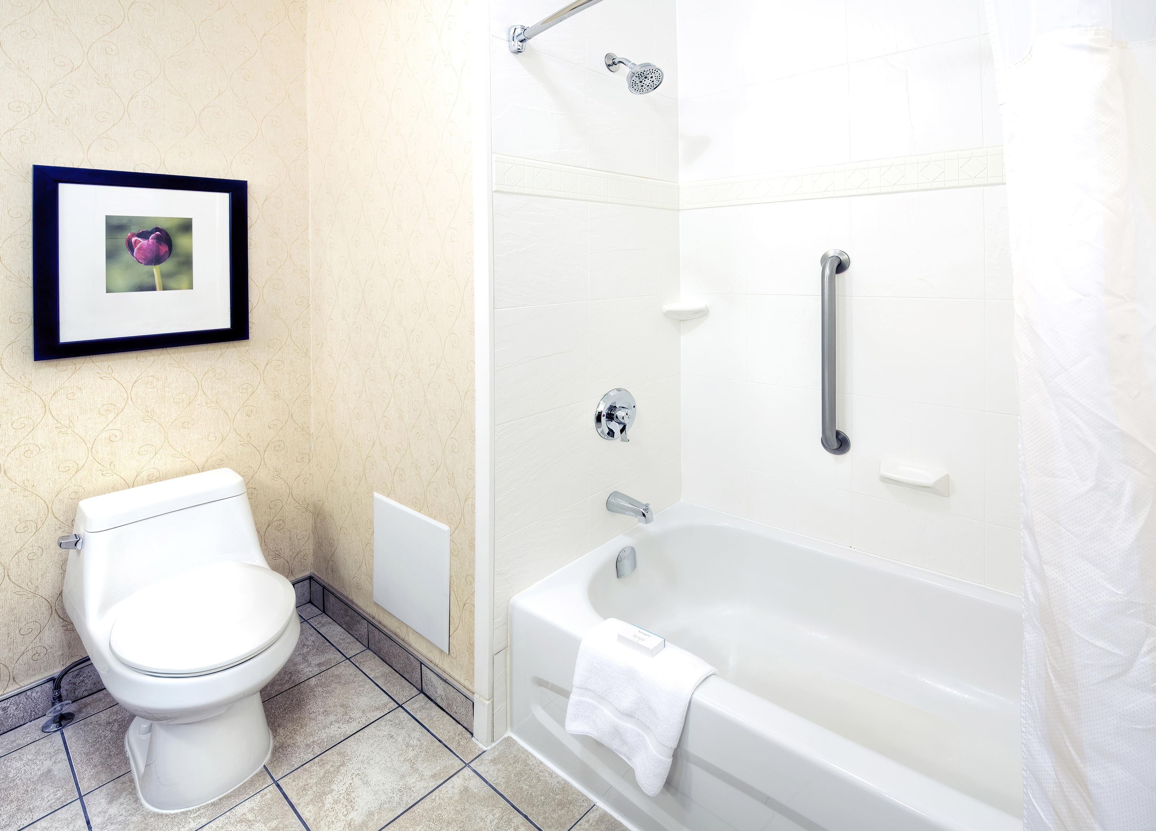 A bathroom with a toilet, a bathtub, and a shower.