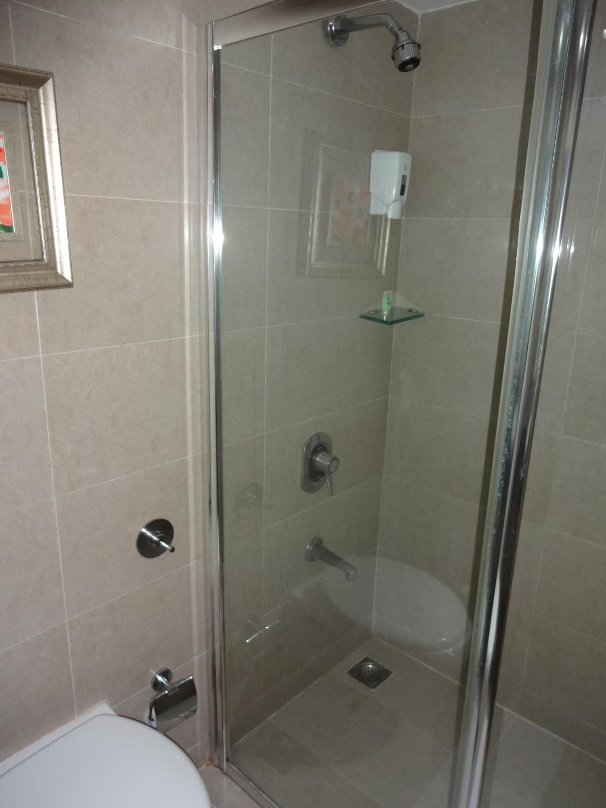 A glass-enclosed shower stall with a toilet and a glass shelf.