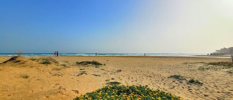 Gần bãi biển, cát trắng