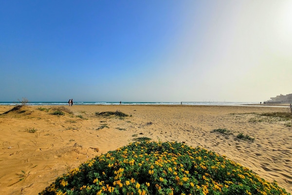 Beach nearby, white sand