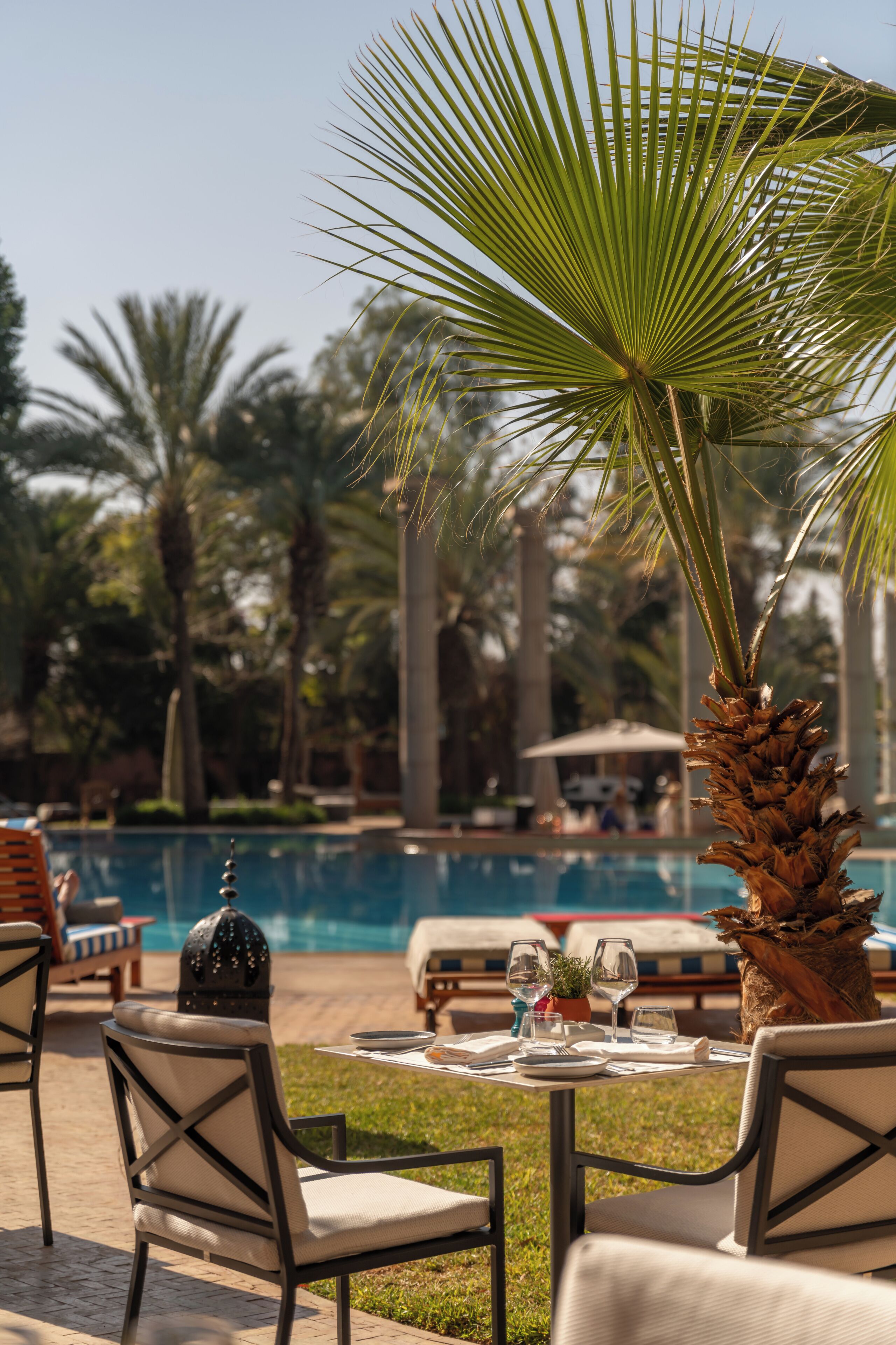 A poolside area with lounge chairs, a dining table set for two, and a palm tree.