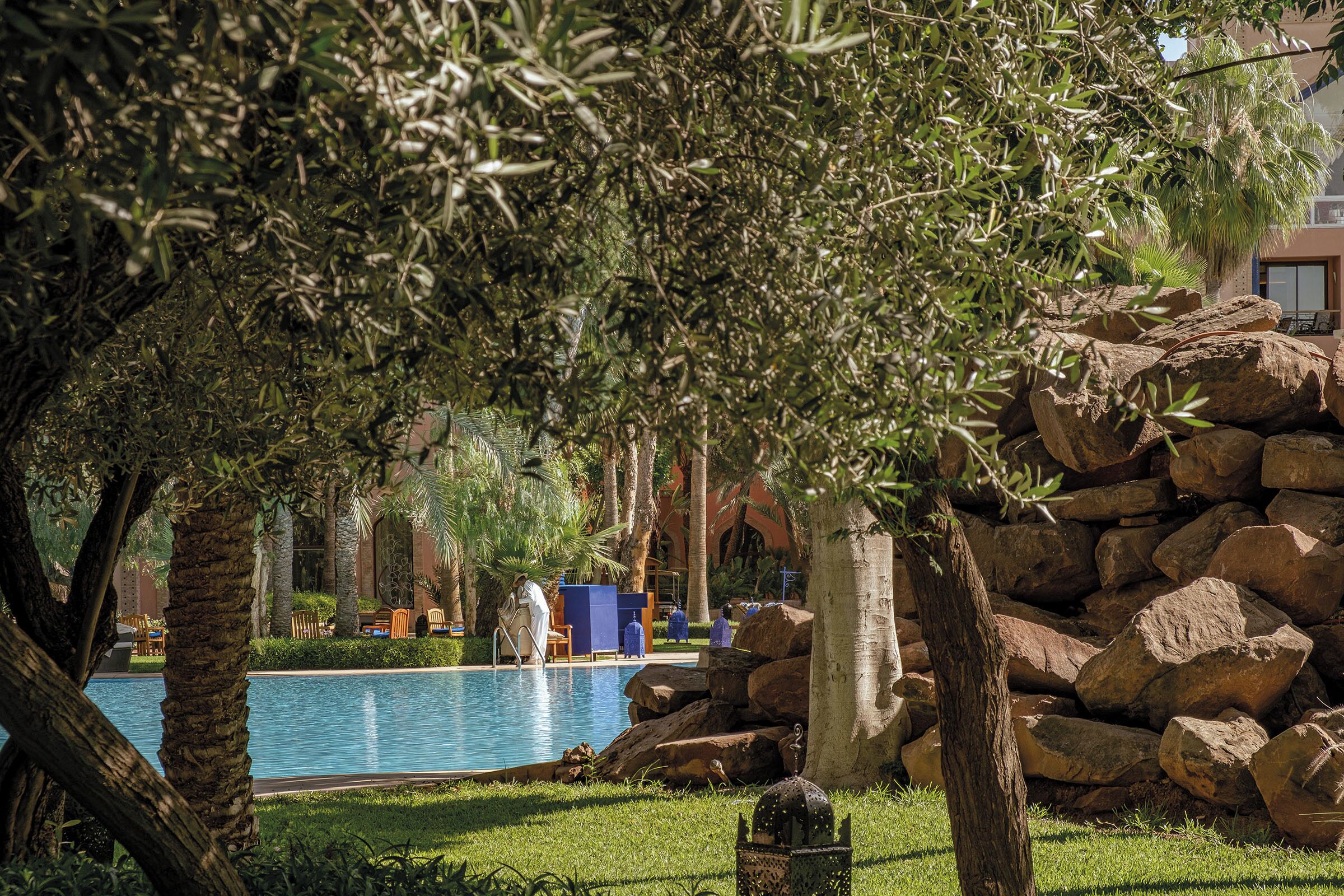 A pool area with a stone wall, palm trees, and a clear blue pool.