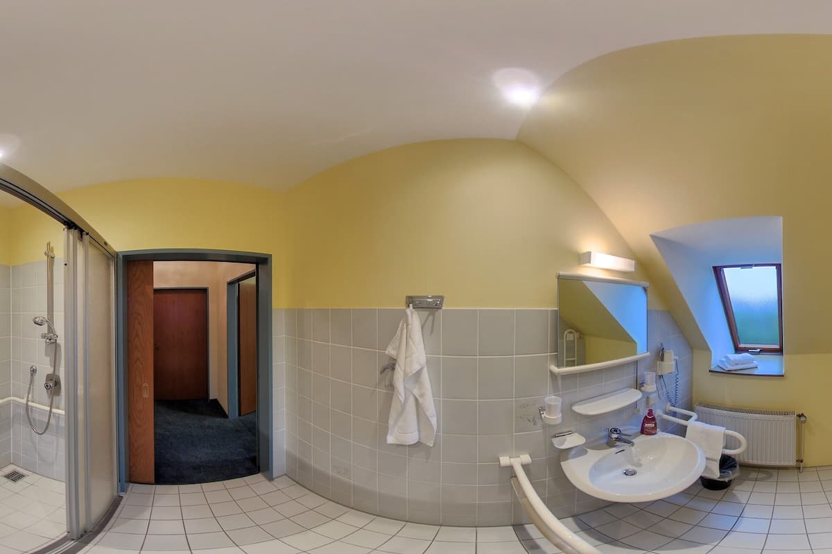 Habitación individual Confort | Baño | Secadora de cabello y toallas