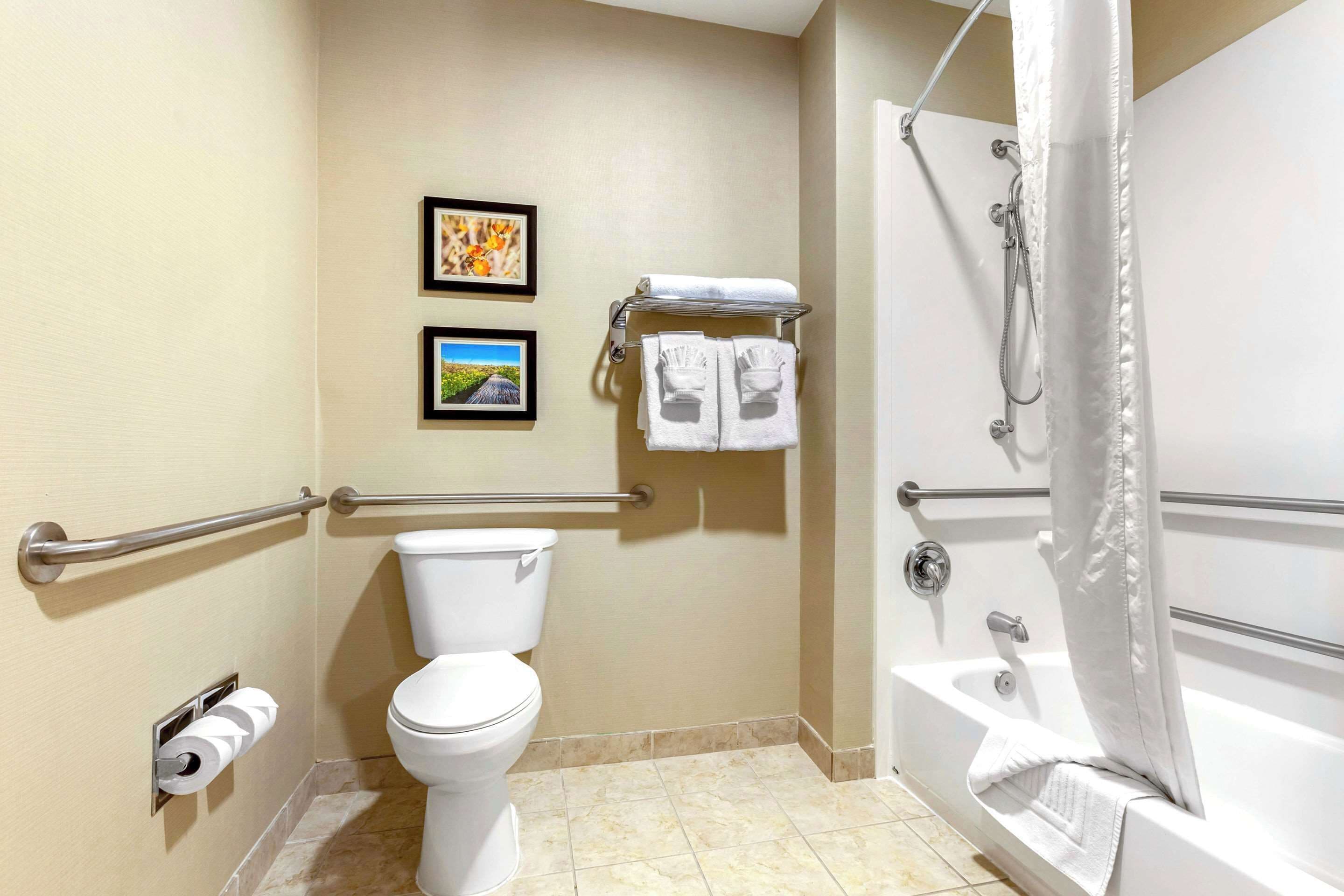 Un baño con inodoro, ducha con cortina y dos cuadros en la pared.