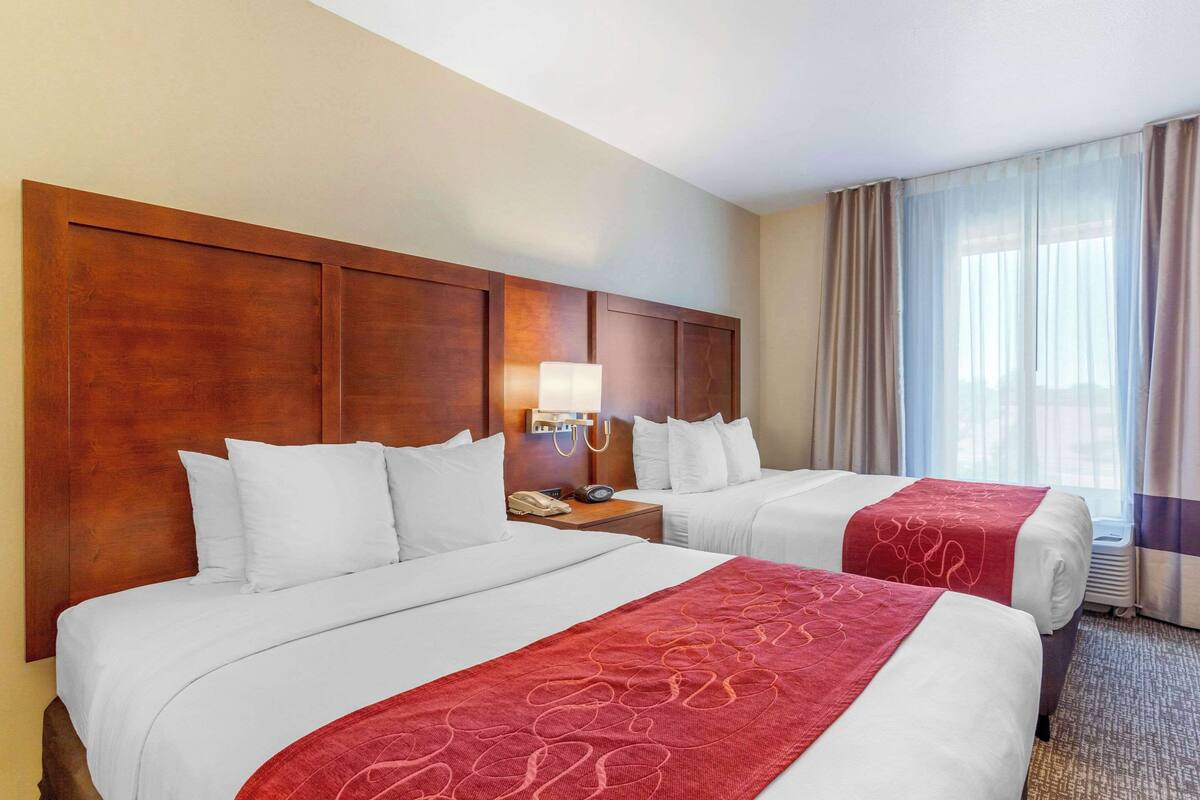 Premium bedding, desk, iron/ironing board, free cots/infant beds