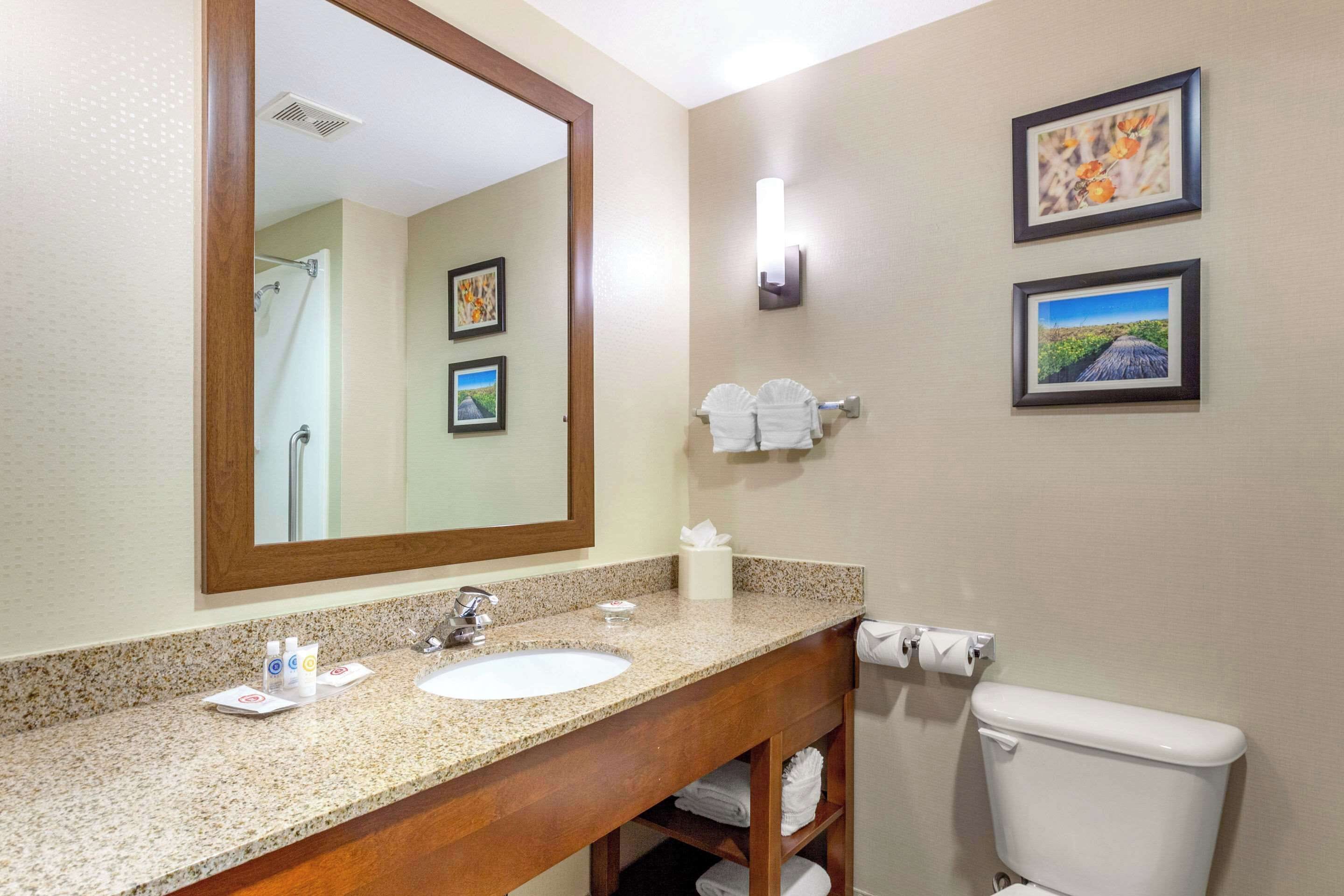 A bathroom with a large mirror, a sink, a toilet, and two framed pictures on the wall.