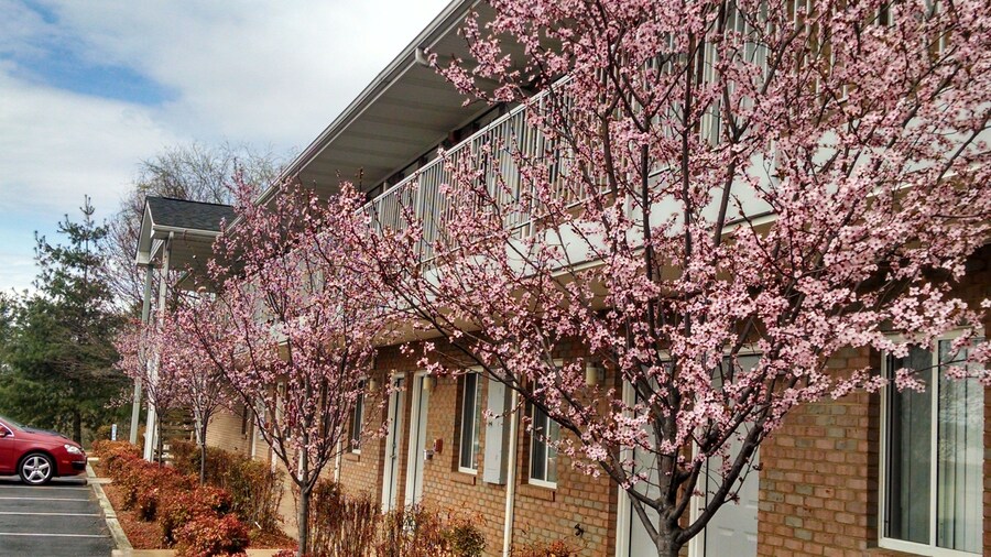 Affordable Corporate Suites Christiansburg