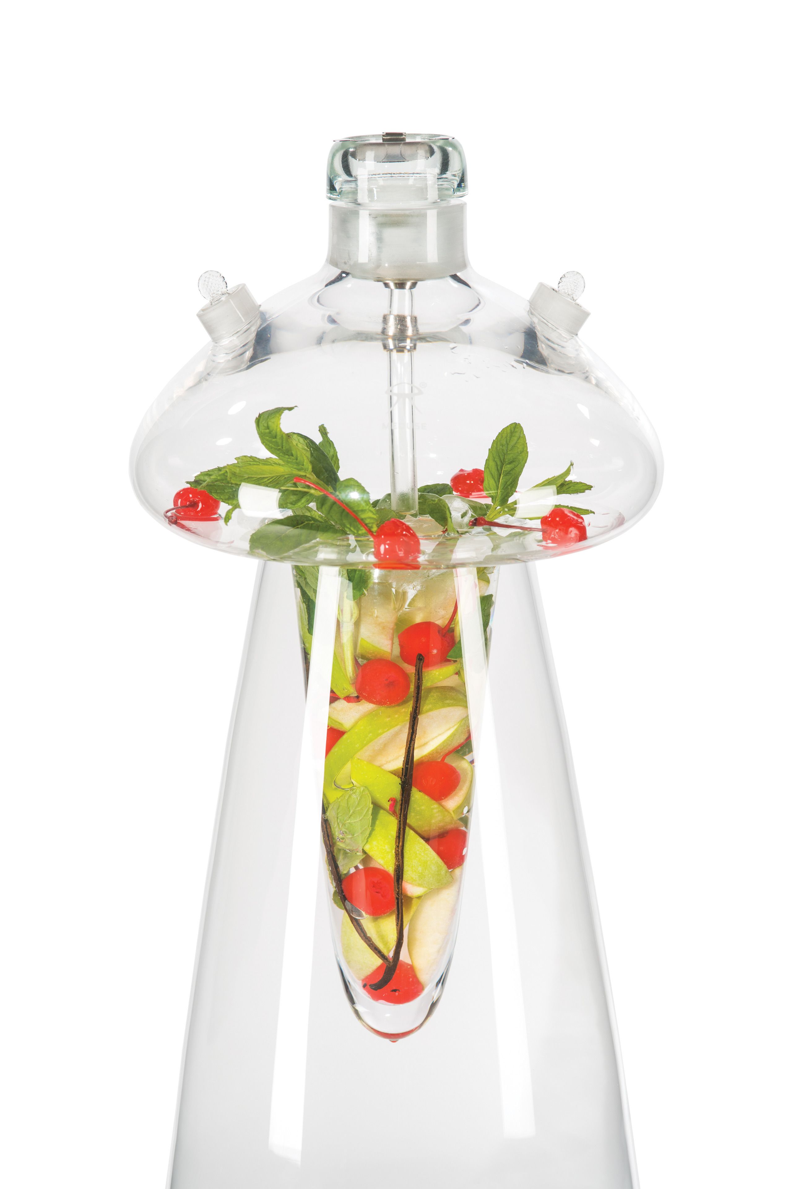 A clear glass vase with a narrow neck, filled with water and containing various fruits and herbs.