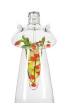 Un jarrón de cristal transparente de cuello estrecho, lleno de agua y con varias frutas y hierbas.