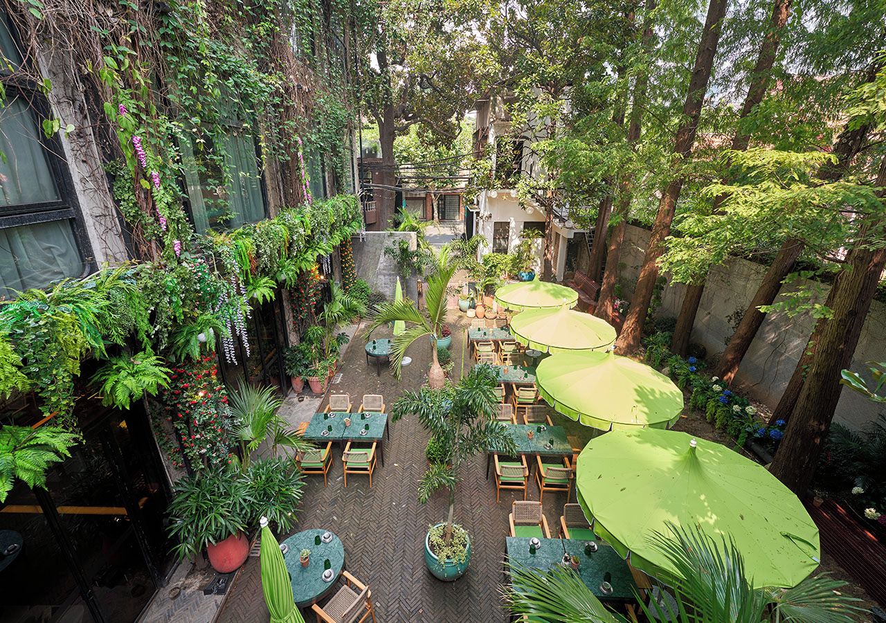 An outdoor café area with tables and chairs, surrounded by lush greenery and trees.