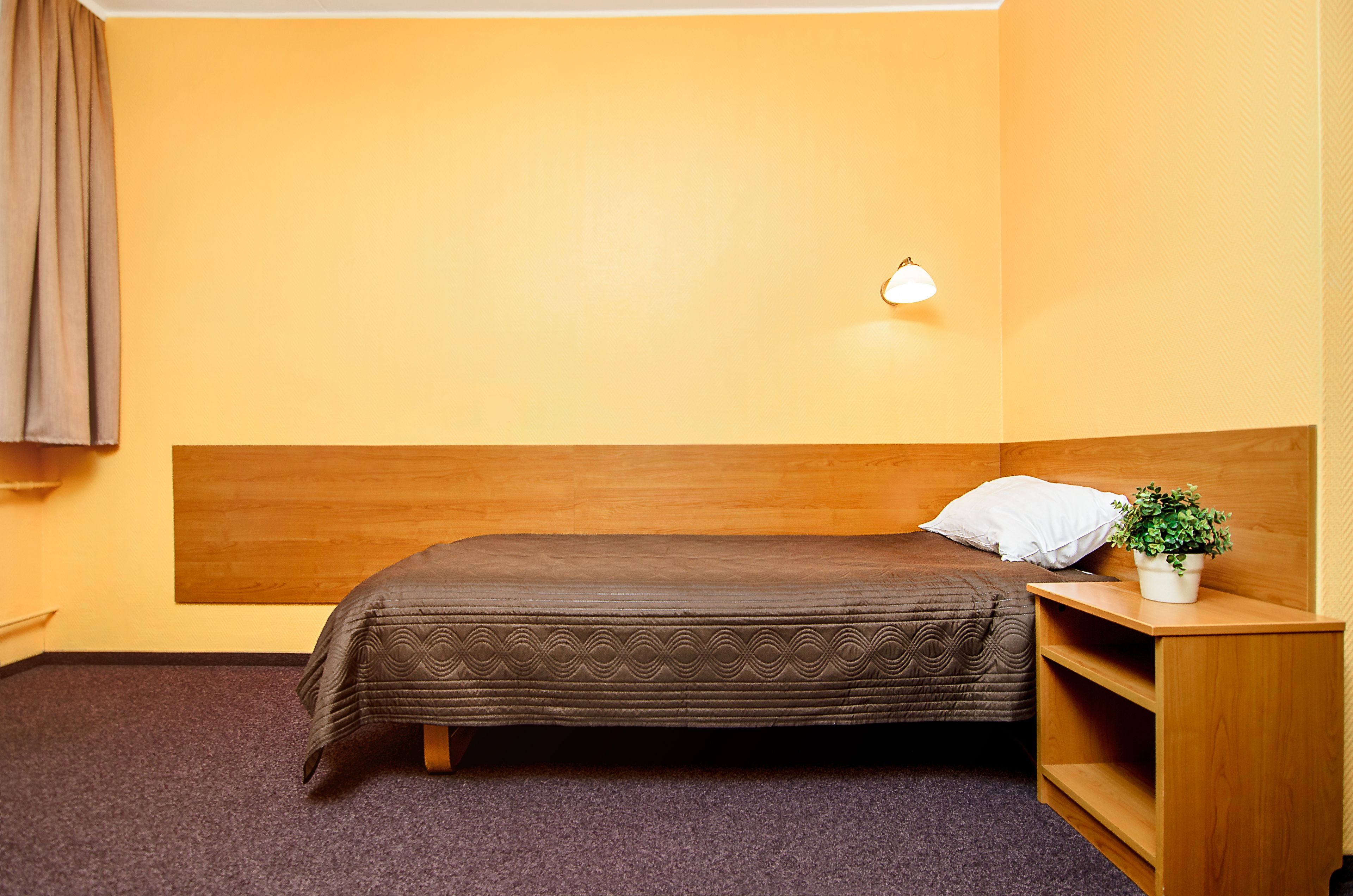 Un letto singolo con testiera, un comodino con una pianta e una lampada fissata al muro.