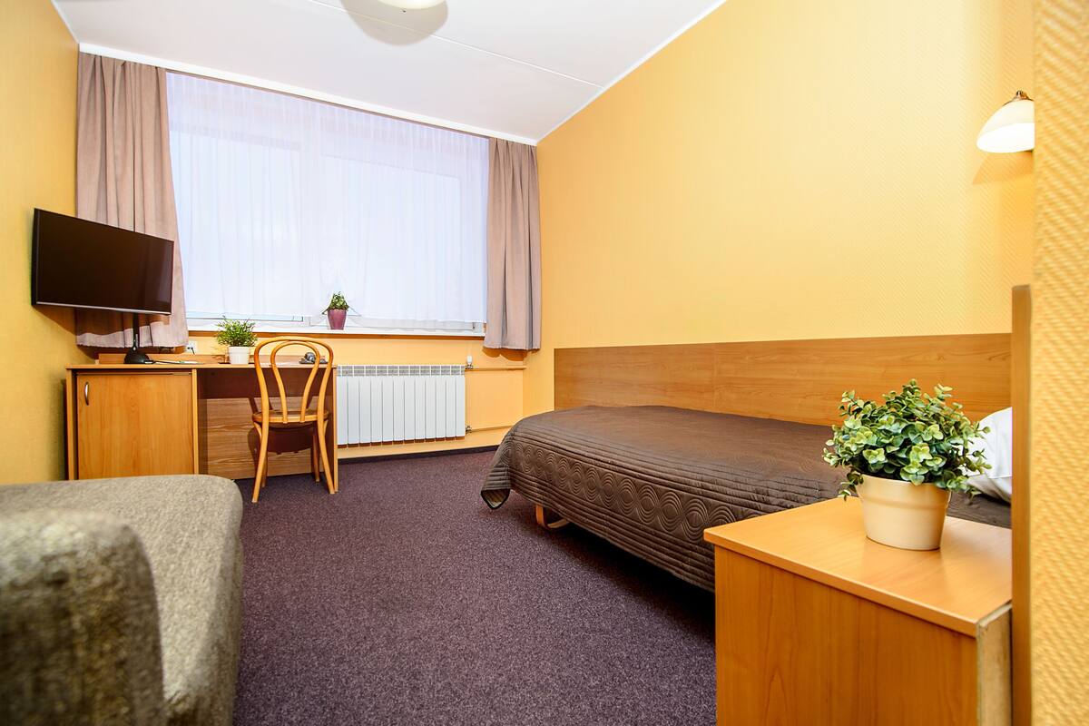 A hotel room with a bed, a desk with a computer, a chair, a TV, a window with curtains, a radiator, and a potted plant.