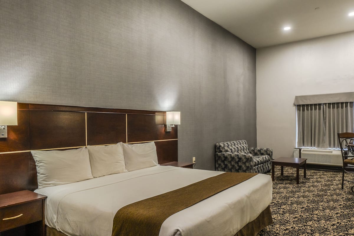 Suite Junior, 1 letto king con divano letto, non fumatori | Cassaforte in camera, una scrivania, ferro/asse da stiro, Wi-Fi gratuito