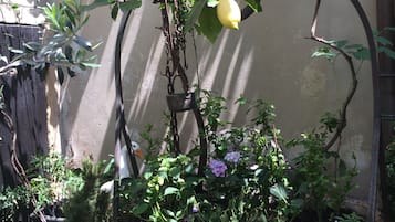 花園