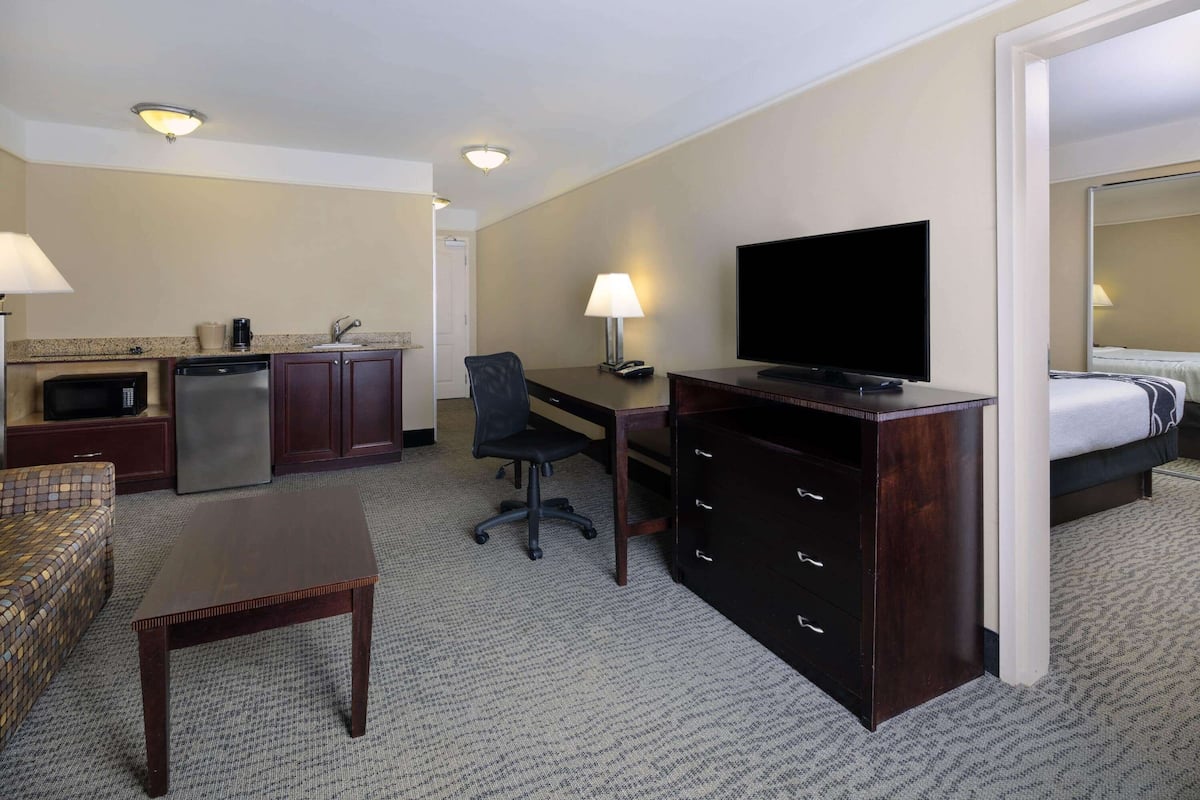 Suite, 1 Bedroom, Non Smoking (1 King Bed)