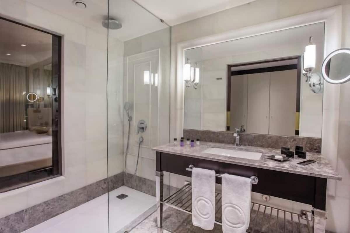 Dusche, Regendusche, Designer-Toilettenartikel, Haartrockner