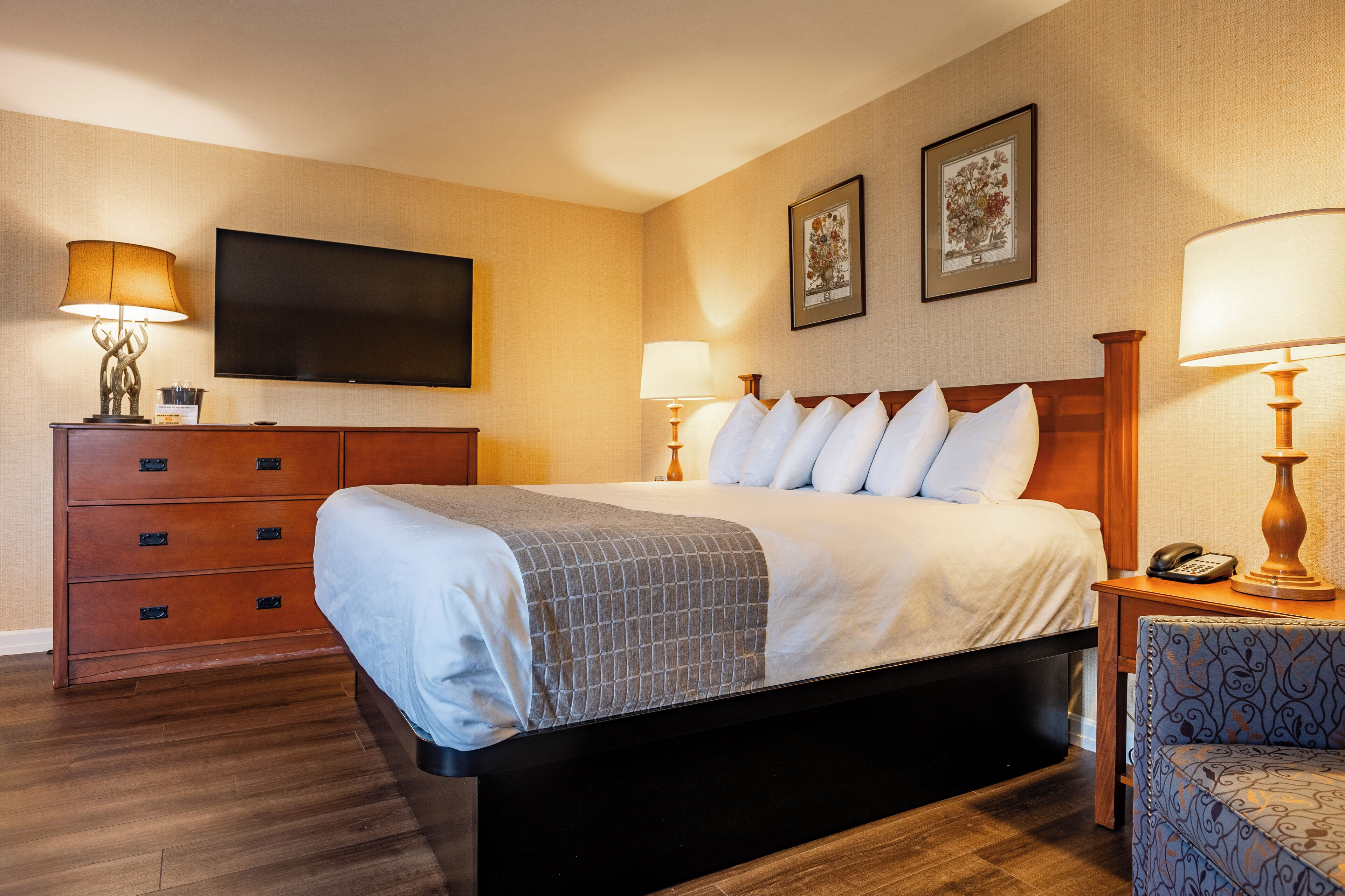 A hotel room with a bed, a TV, a dresser, a chair, and two lamps.