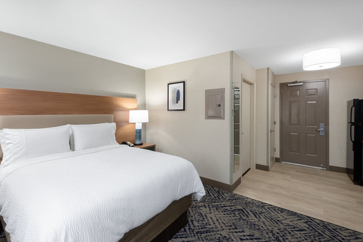 Habitación de hotel con una cama grande, una mesita de noche con lámpara, un cuadro enmarcado en la pared, una puerta y piso alfombrado.