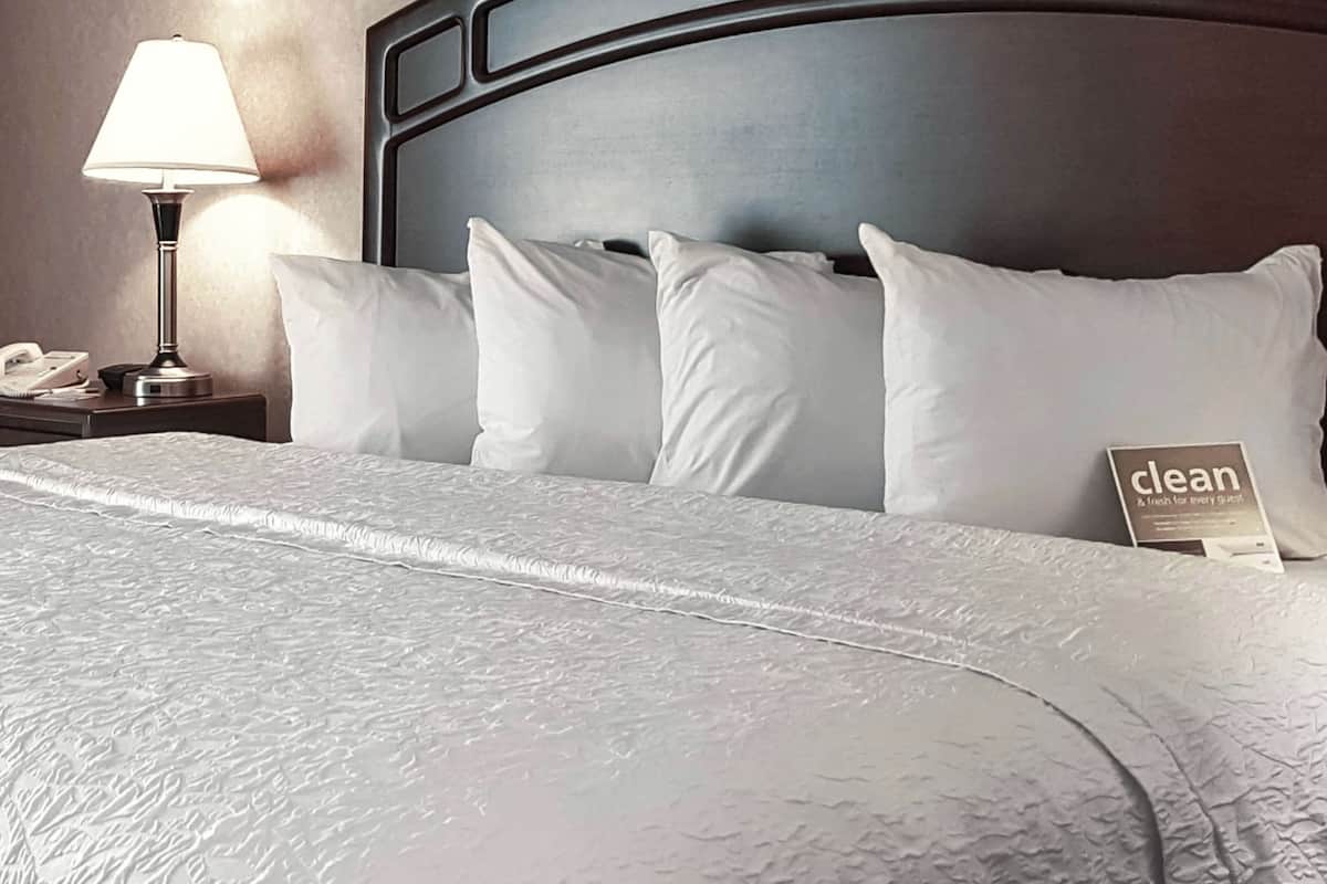 executive suite with 1 king bed and separate living space | desk, iron/ironing board, free cots/infant beds, free wifi