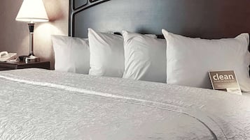 Executive Suite with 1 King Bed and Separate Living Space | Desk, iron/ironing board, free cots/infant beds, free WiFi