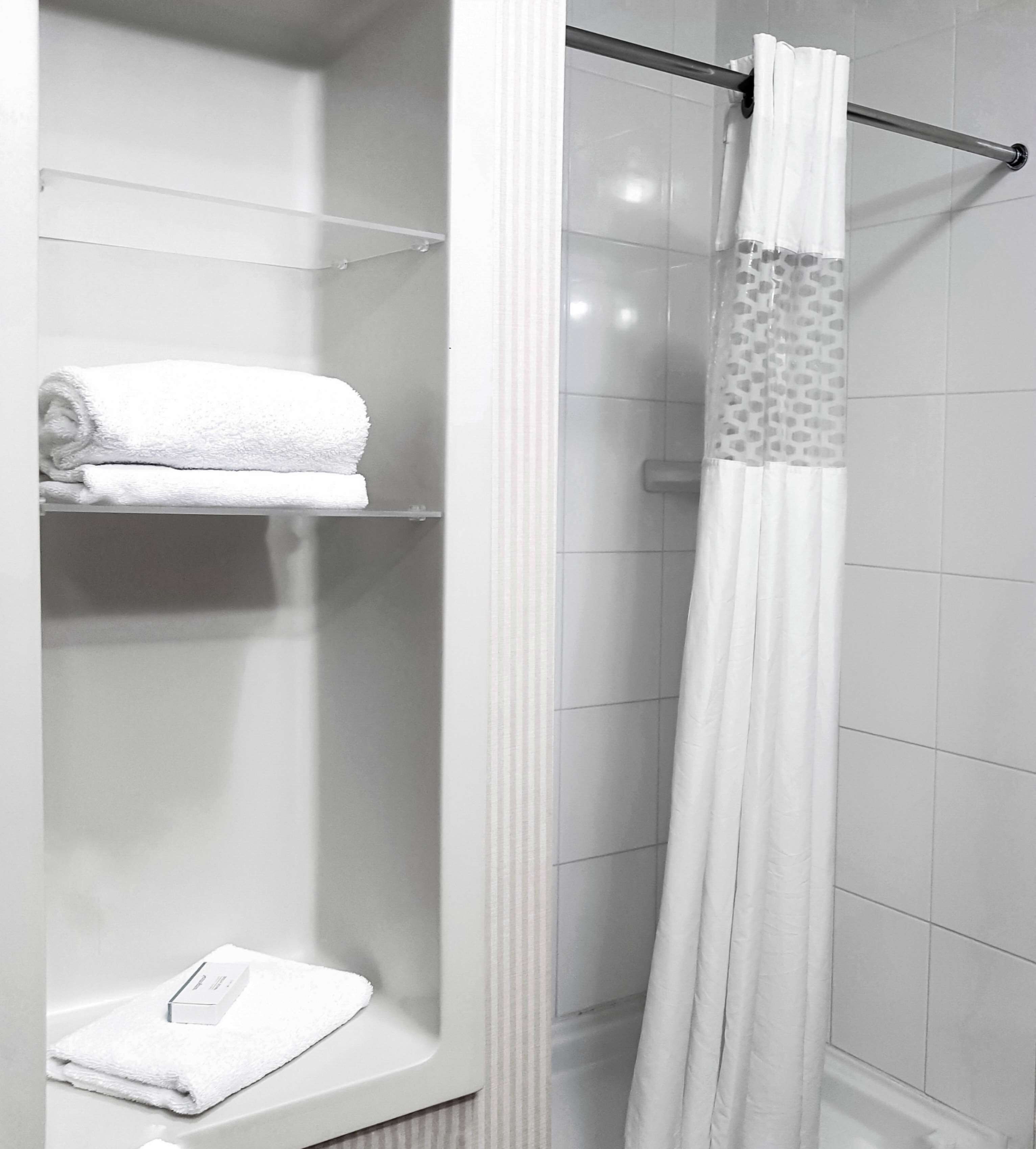 executive suite with 1 king bed and separate living space | bathroom shower