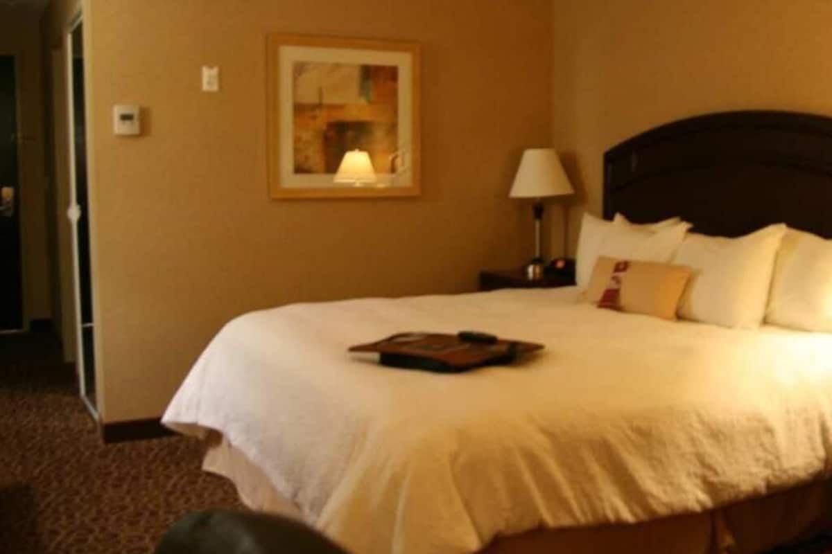 A hotel room with a large bed, a nightstand with a lamp, a framed picture on the wall, and a carpeted floor.