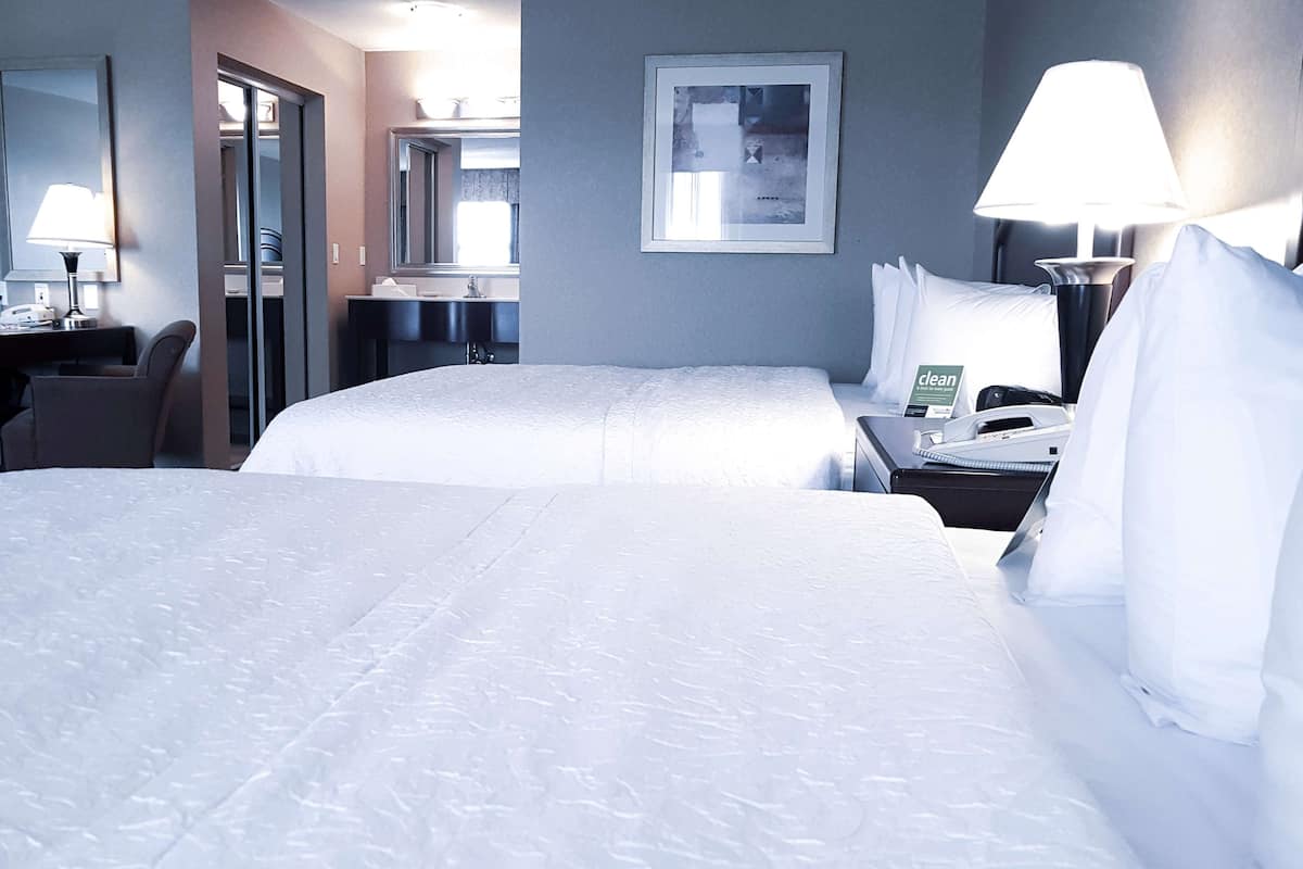 standard 2 queen bed | desk, iron/ironing board, free cots/infant beds, free wifi