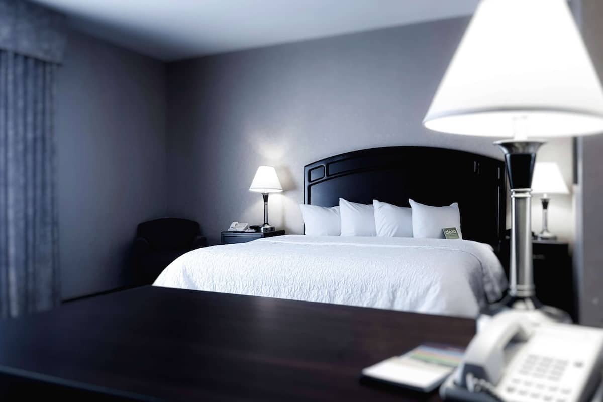 studio 1 king bed with sofa and wet bar | desk, iron/ironing board, free cots/infant beds, free wifi