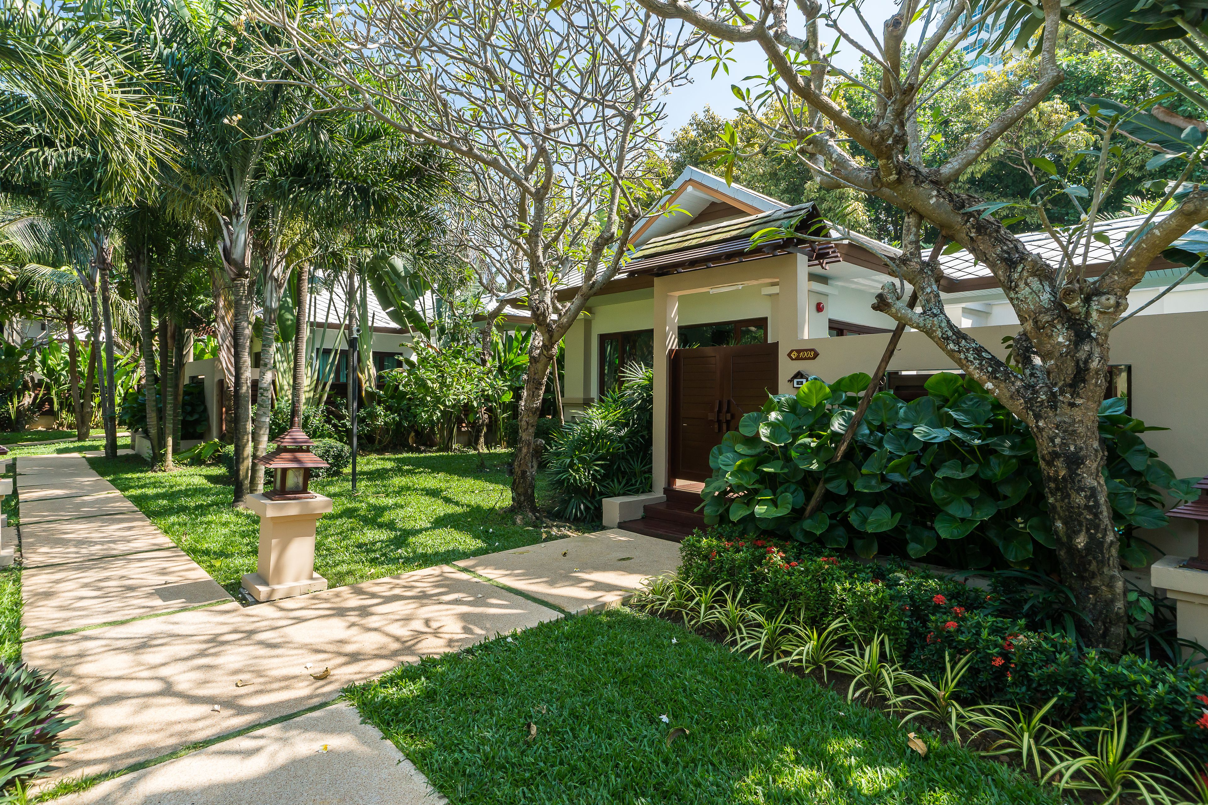 A residential area with a pathway leading to a house with a brown door and a small garden with various plants and a red flower bed.